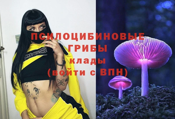 дурь Лихославль