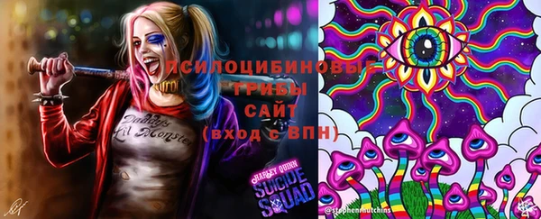 дурь Лихославль
